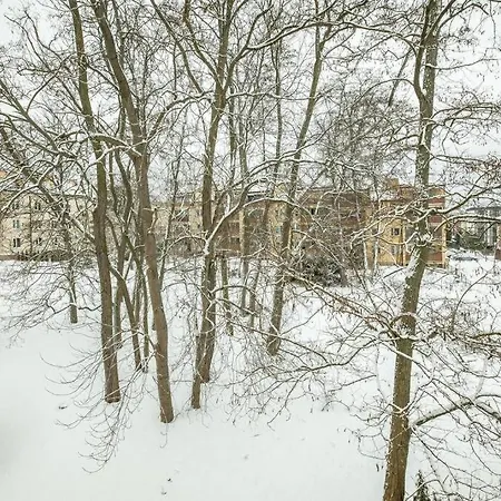 Oficerski